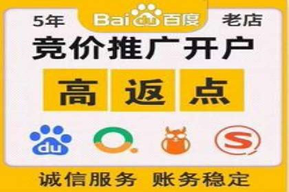 竞价广告赚钱秘籍：百度实战案例